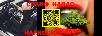 прущие грибы Ливны