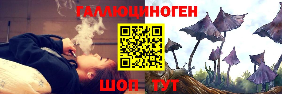Ипатово  Псилоцибиновые грибы GOLDEN TEACHER  Вход с VPN  Галлюциногенные грибы GOLDEN TEACHER 